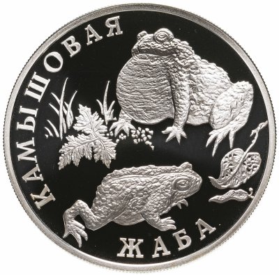 купить 1 рубль 2004 СПМД Proof "Красная книга -Камышовая жаба"