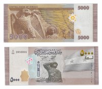купить Сирия 5000 фунтов 2019 (2021) (Pick **) Новинка