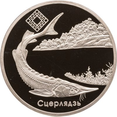купить Беларусь 1 рубль 2007 Заказники Беларуси - Днепро-Сожский. Стерлядь