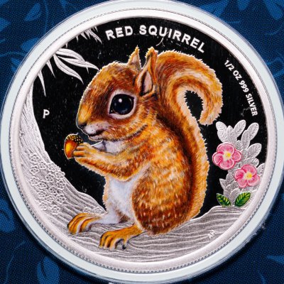 Купить Тувалу 50 центов 2013 "Лесные детки - белка"