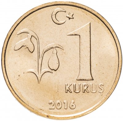 купить Турция 1 куруш (kurus) 2016