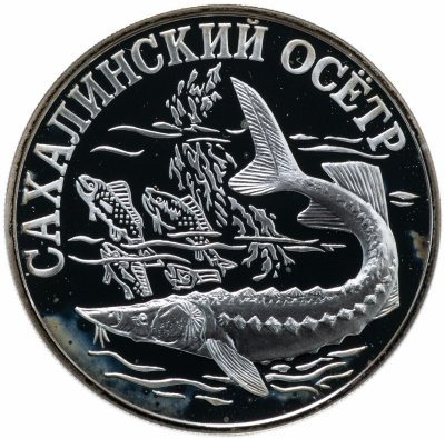 купить 1 рубль 2001 СПМД "Красная книга - Сахалинский осётр"