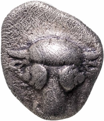купить Фокида, Фокейский союз, 485-480 годы до Р.Х., Триобол.