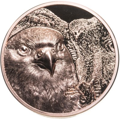 купить Монголия 250 тугриков 2023 Proof "Сокол" в капсуле с сертификатом