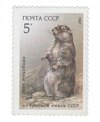 купить 5 копеек 1987 "Сурок Мензбира" из серии "Млекопитающие, занесенные в Красную книгу СССР"