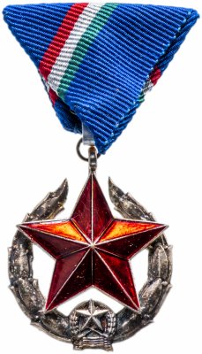 купить Венгрия медаль Общественной Безопасности