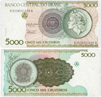 купить Бразилия 5000 крузейро 1990 (Pick 227)