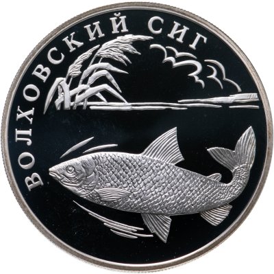 купить 1 рубль 2005 СПМД волховский сиг