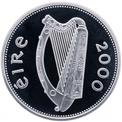 купить Ирландия 1 фунт 2000 "Новое тысячелетие"