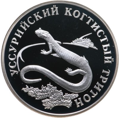 купить 1 рубль 2006 СПМД уссурийский когтистый тритон