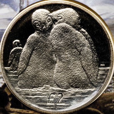 купить Британская антарктическая территория 2 фунта 2013 «Пингвин»