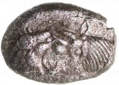 купить Лидийское царство, Крёз, 561-546 годы до Р.Х., Сикль.