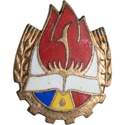 купить Значок Пионер Румынии (Разновидность случайная )
