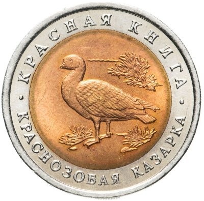 купить 10 рублей 1992 ЛМД краснозобая казарка