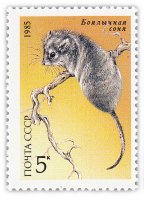 купить 5 копеек 1985 "Боялычная соня"