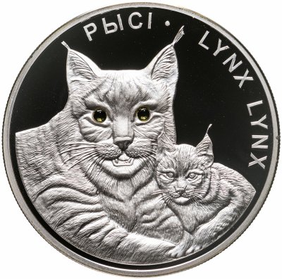 купить Беларусь 20 рублей 2008 «Рыси»