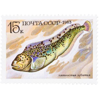 купить 15 копеек марка СССР 1983 "Пятнистая зубатка"