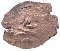 купить Девлет IV Гирей 2-е правление, Бешлык чекан Бахчисарай 1189 г.х.