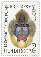 Купить 2 копейки 1984 "Московский зоопарк: Обезьяна мандрил"