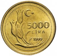 купить Турция 5000 лир (lira) 1999