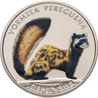 купить Украина 2 гривны 2017 Перевязка (Vormela peregusna)