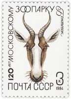 Купить 3 копейки 1984 "Московский зоопарк: Антилопа бонтебок"