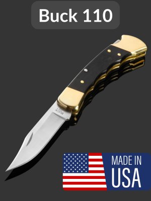 купить Складной нож BUCK Folding Hunter 110 Finger Grooved 3.75'' (0110BRSFG), сталь 420HC, рукоять дерево, латунь