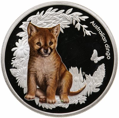 купить Австралия 50 центов 2011 "Детеныш собаки динго" в футляре