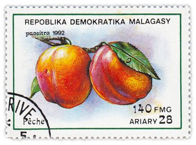 купить Мадагаскар (Малагасийская Республика) почтовая марка 1992 "Фрукты. Апельсины"