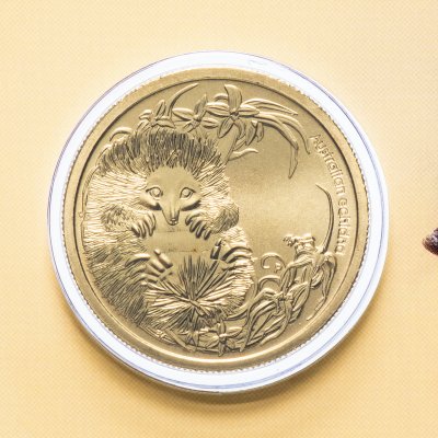 купить Австралия 1 доллар (dollar) 2013 "Детёныши диких животных - Ехидна" (в конверте, с маркой)