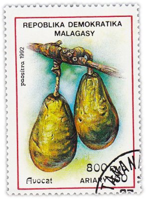 купить Мадагаскар (Малагасийская Республика) почтовая марка 1992 "Фрукты"