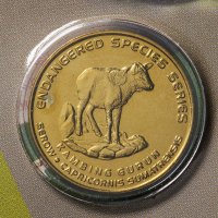 купить Малайзия 25 сен 2003 год Суматранский Сероу