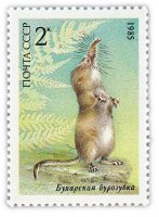 купить 2 копейки 1985 "Бухарская бурозубка"