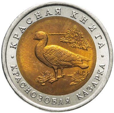 купить 10 рублей 1992 ЛМД краснозобая казарка