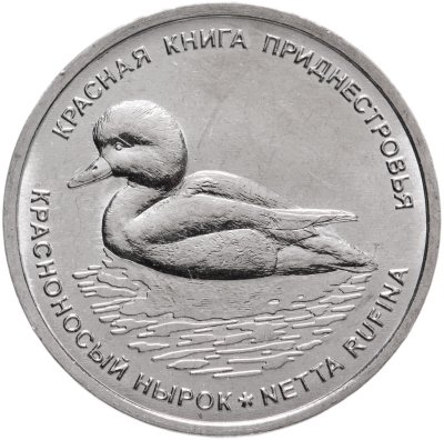 купить Приднестровье 1 рубль 2023 "Красноносый нырок"