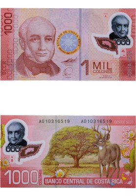 купить Коста Рика 1000 колон 2009 (Pick 274а) пластик