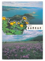 купить Открытка (открытое письмо) "Малое море. Виды природы" фот. С.Волков 1994