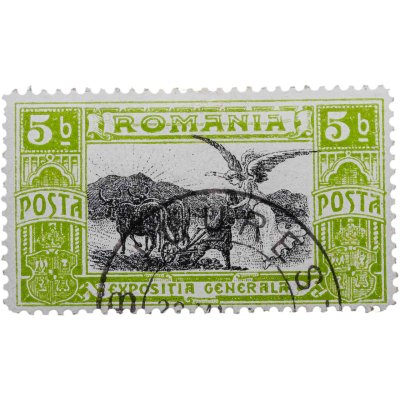 купить Румыния марка 5 бань (банов) "Бухарест Юбилейная выставка" 1906