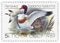 Купить 5 копеек 1989 "Утки: Пеганка"