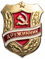 Купить Значок СССР 1987 г "Дружинник", булавка