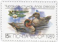 Купить 15 копеек 1989 "Утки: Чирок-свистунок"