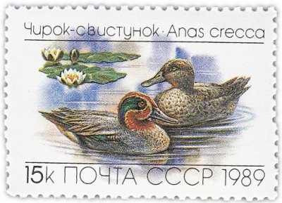 купить 15 копеек 1989 "Утки: Чирок-свистунок"