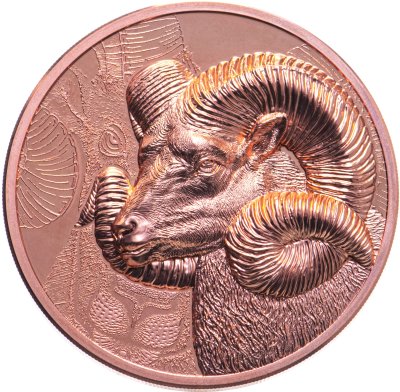 купить Монголия 250 тугриков 2022 Proof "Великолепный баран аргали Архар" в капсуле с сертификатом
