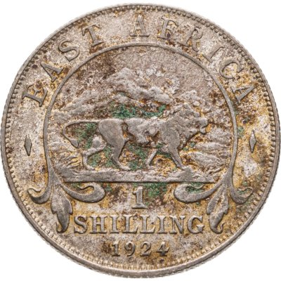 купить Британская Восточная Африка 1 шиллинг (shilling) 1924