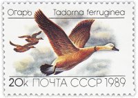 Купить 20 копеек 1989 "Утки: Огарь"