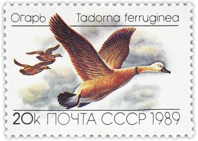 купить 20 копеек 1989 "Утки: Огарь"