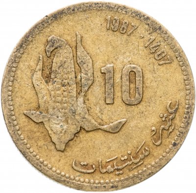купить Марокко 10 сантимов (centimes) 1987 ФАО