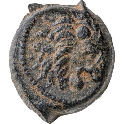 купить Государство Селевкидов, Антиох VII Эвергет, 138-129 годы до Р.Х., АЕ16.