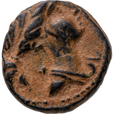 купить Государство Селевкидов, Селевк III Сотер (Керавн), 225-222 годы до Р.Х., AE15.
