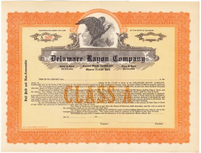 купить Акция США Delaware Rayon Company (чистый бланк)